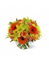 The FTD Vibrant Views Bouquet The FTD Vibrant Views Bouquet